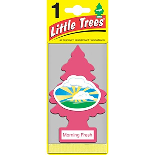 Air Fresheners Little Trees FBA_U6P-60228