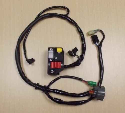 2008-2009 Honda TRX 300 TRX300 X TRX300EX Electric Start Kill Head Light Switch Switches Honda FHBS-14