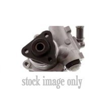 Ps Pump/motor From 2001 Dodge Truck CARAVAN Pump Rebuild Kits Jeep 1215669