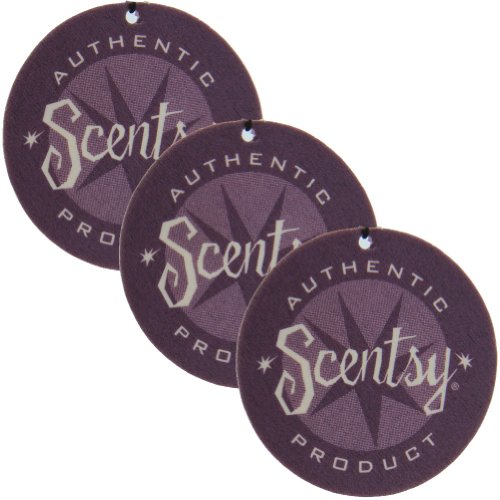 Air Fresheners Scentsy 3698E_4