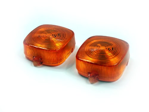 Turn Signal Assemblies & Lenses Ebp 21240980