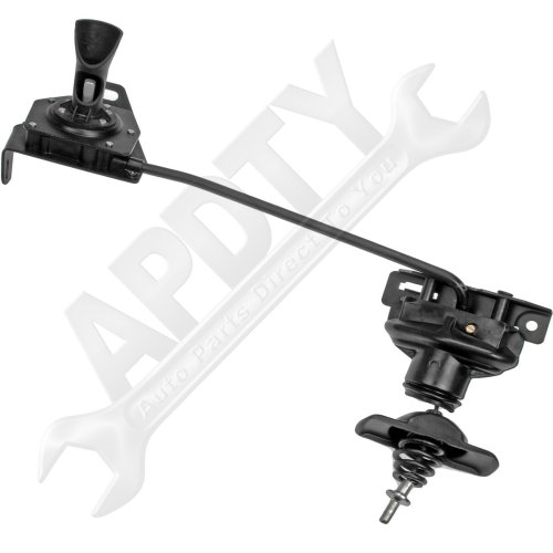 Accessories APDTY 035610