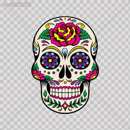 Wall Stickers & Murals Skulls Stickers DAT051960500