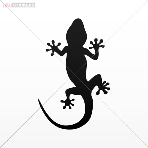 Bumper Stickers Lizards Stickers DAT094800502