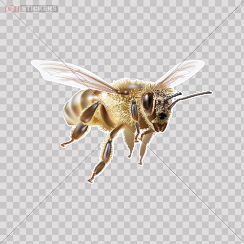 Wall Stickers & Murals Bees & Hornets Stickers DAT063330400