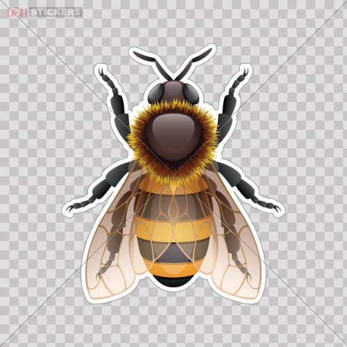 Wall Stickers & Murals Bees & Hornets Stickers DAT065050400