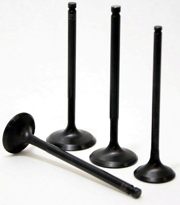 Exhaust Valves Power-Division 2031-01