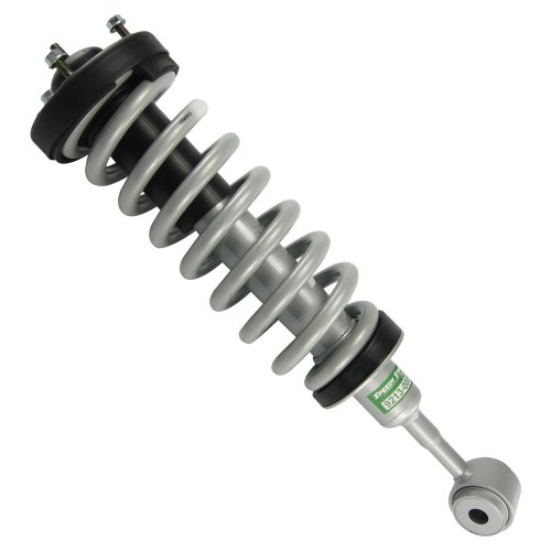 Single SENSEN Speedy Strut Complete Strut Assembly, Lifetime Warranty Shocks & Struts Sensen Shocks & Struts 9213-0005