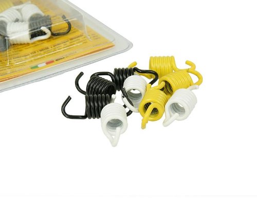 Malossi 29 7456 - M297456 racing clutch springs for the Morini and Derbi 50cc Scooters original clutches Transmissions Malossi 29 7456