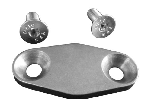 EGR Valves BRP 551606