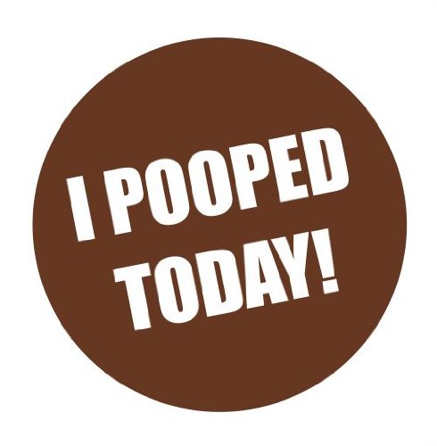I pooped today funny vinyl decals bumper stickers Decals Slap-Art Slap-Art
