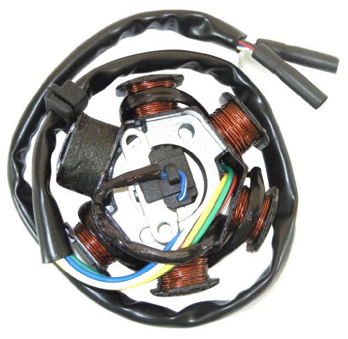 6 Pole Magneto Stator Charging Coil Alternator GY6 150 Chinese Scooter Moped ATV Go Kart Dune Buggy 150cc Stators Zoom Zoom ZZPGGR141