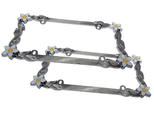 Frames Unique Imports 617390872911