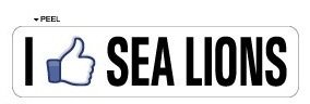 I Like SEA LIONS - Window Door Wall Bumper Sticker - Apply to any surface Wall Stickers & Murals Sticker Stand SS-SET-C-2174
