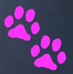 Decals Sticker Stand SS-SET-C-2759