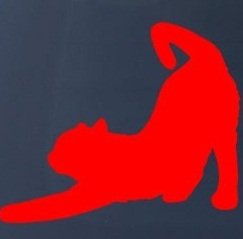 Decals Sticker Stand SS-SET-C-1914