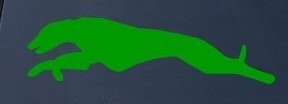 GREYHOUND RUN - Dog - Vinyl Car Decal Sticker #1519 | Vinyl Color: Green Decals Sticker Stand SS-SET-C-1936