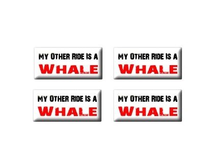 Decals Sticker Stand SS-SET-C-2545