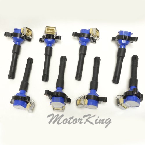 Coils MotorKing IC282