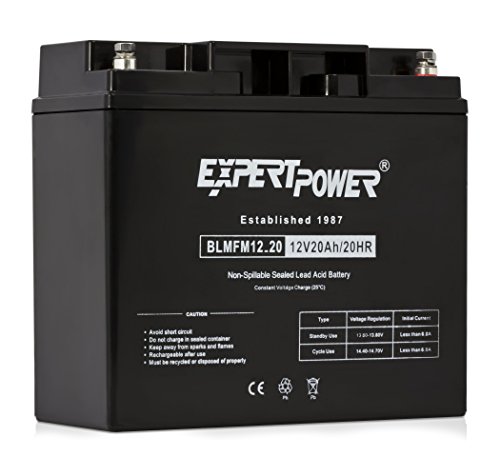 12V ExpertPower EXP12200