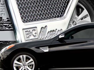 Grilles E&G Classics 1409-01XW-10AE