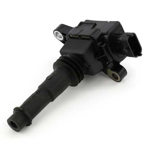 Coils Weber Motor 100884