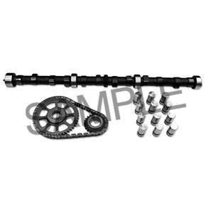 Jeep AMC 258 4.2L 71-80 Cam Kit-camshaft Lifters Timing Set Sets & Kits Northern Auto Parts 0033