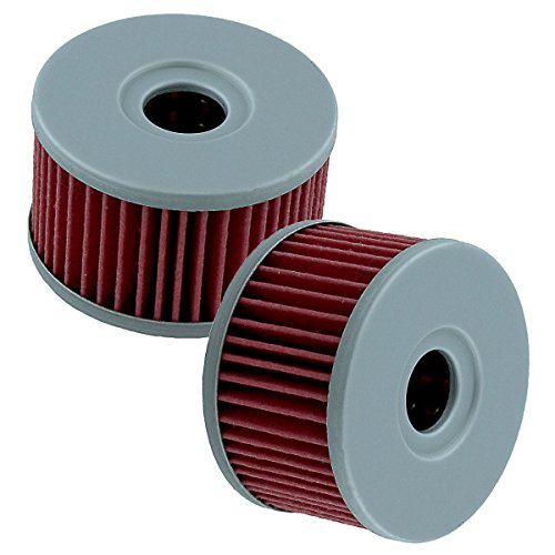 Oil Filters Caltric FL123+FL123/1