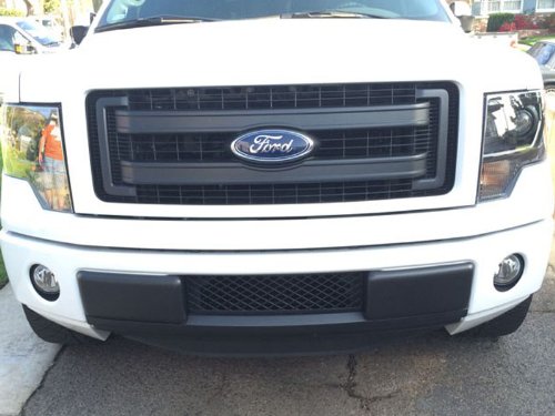 Grille Inserts EcoBoost Grilles 7002-131402