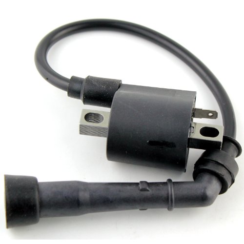 Ignition Coils RMSTATOR RM06019