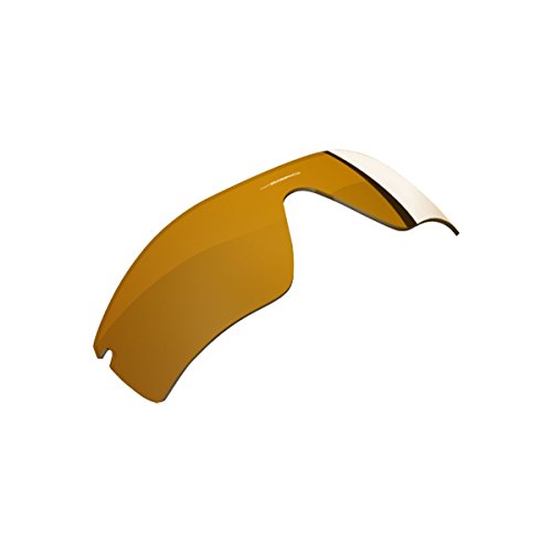 Goggle Accessories Oakley 41-933