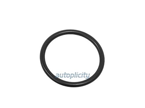 Thermostat Seals BMW 11 53 7 548 651
