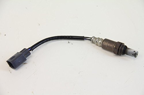 Oxygen Lexus 8946730030