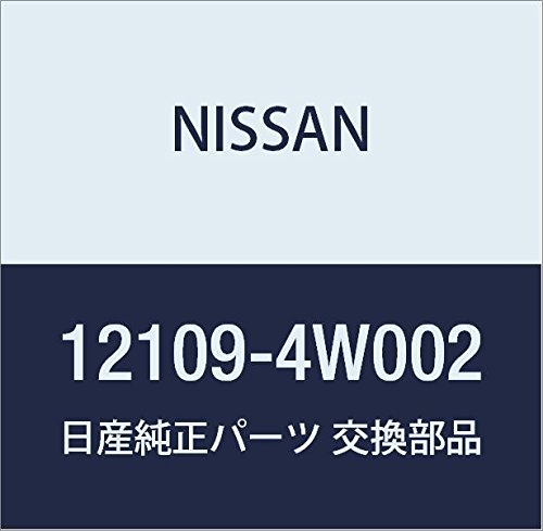 Categories Nissan 12109-4W002