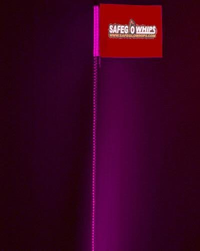 Accessory Lights SafeGlo whipledpink-6