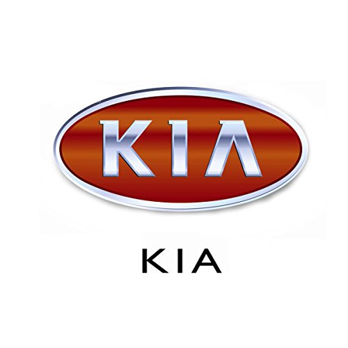 Pumps Kia 571001M100