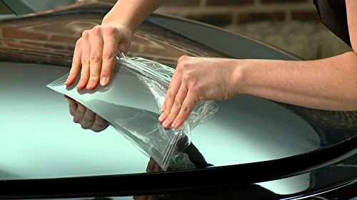 Protective Shields VViViD V8-PaintProtFlmGlss-75