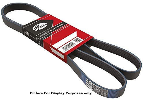Serpentine Gates 7PK2315
