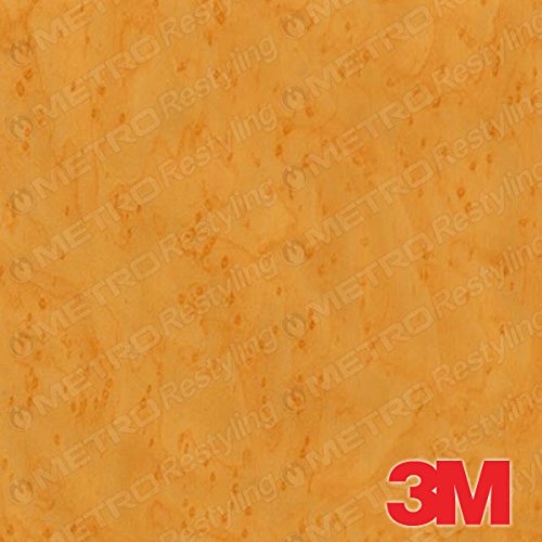 Decals 3M DINOCLTBIRDSEYE-48-12