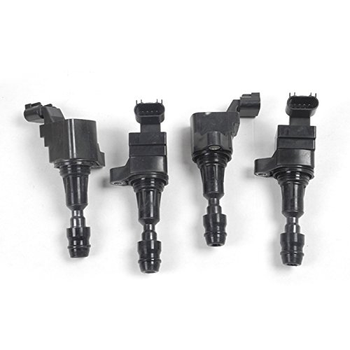 Coils MotorKing IC304