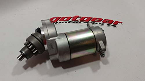 Engine Polaris 3087043