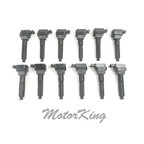 Coils MotorKing B323C*12