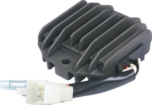 Regulators Rick'S Motorsport Electric 10-560