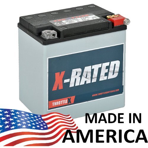 Batteries ThrottleX Batteries 66010-97C