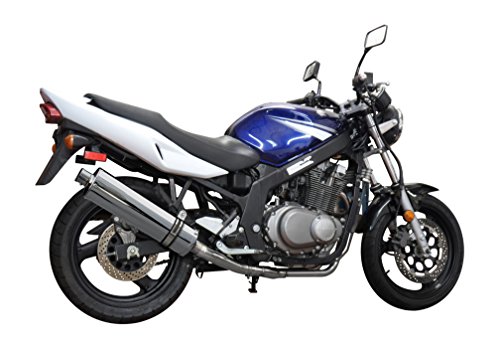 Delkevic US KIT0784 Suzuki GS500E 18 Oval Stainless Steel Silencer Straight Outlet Mufflers Delkevic KIT0784