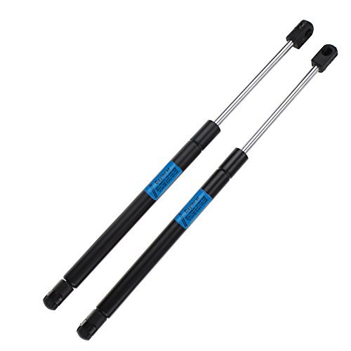 Lift Supports Dayincar AE