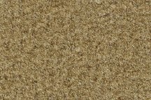Flooring & Carpeting Factory Fit - ACC 19899-160-1074