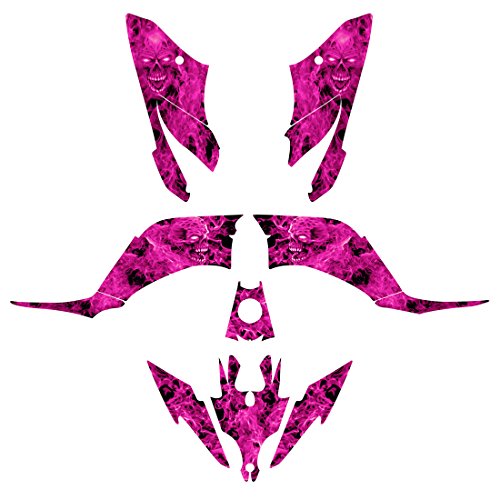 Decals Allmotorgraphics raptor250-9500pi