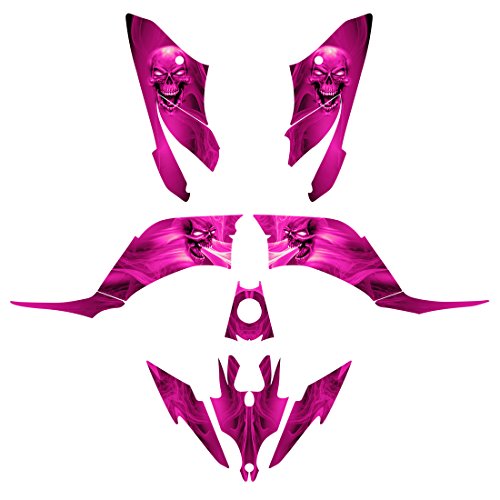 Decals Allmotorgraphics raptor250-6666pi