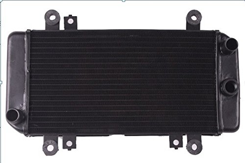 Motorcycle Grille Guard Radiator water Cooling Cooler 1PCS Fit For EX250 2008 2009 2010 2011 2012 Adhesives GAO GAO301-MAX14-08-A017